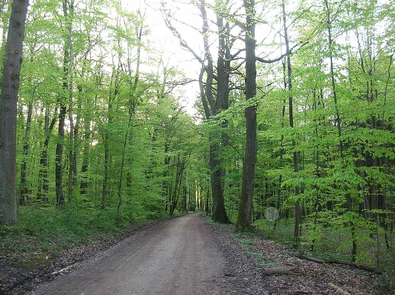 St. Chrischona ( CH )   30. Aprile 2005